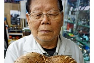 ManBetX体育