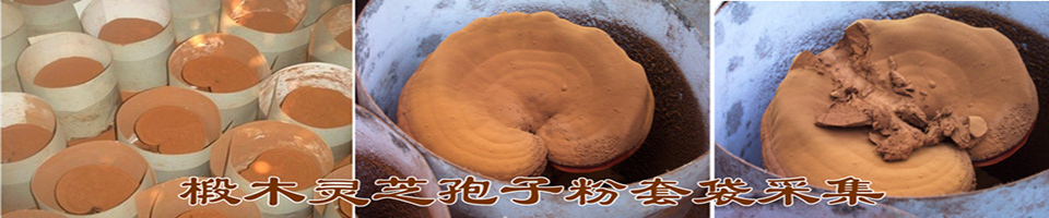ManBetX体育