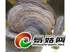 ManBetX体育