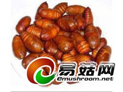 ManBetX体育