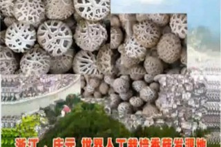 ManBetX体育