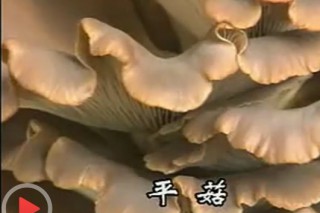 ManBetX体育