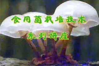 ManBetX体育