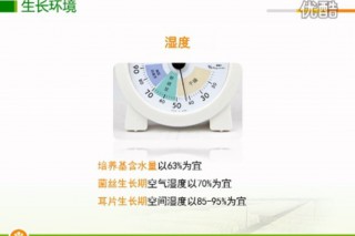 ManBetX体育
