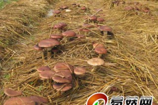 ManBetX体育