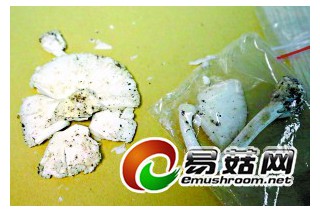 ManBetX体育