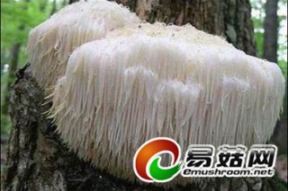 ManBetX体育