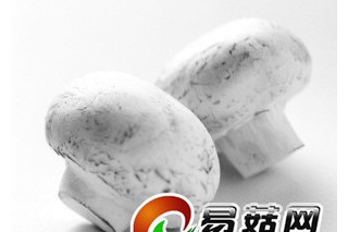 ManBetX体育