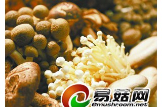 ManBetX体育