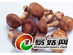 ManBetX体育