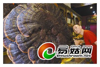 ManBetX体育