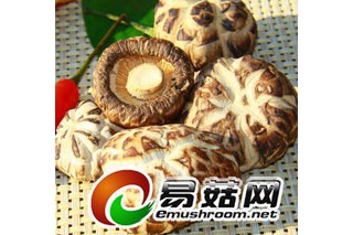 ManBetX体育