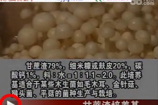 ManBetX体育