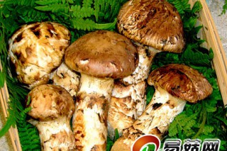 ManBetX体育