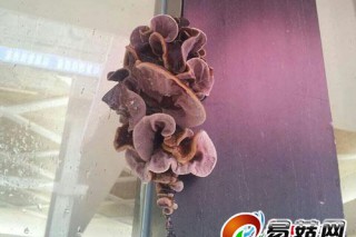 ManBetX体育