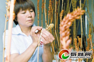 ManBetX体育
