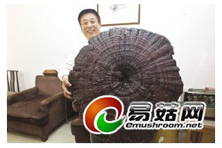 ManBetX体育