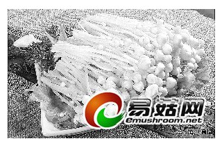 ManBetX体育