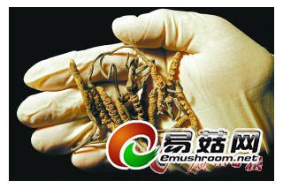 ManBetX体育