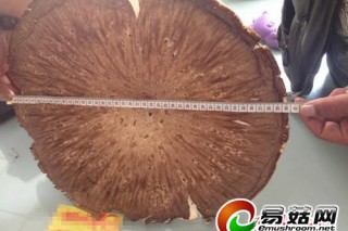 ManBetX体育