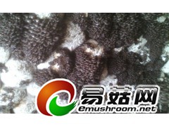ManBetX体育