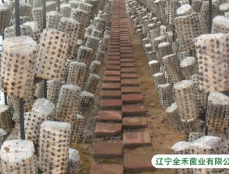 ManBetX体育