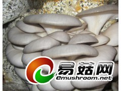 ManBetX体育