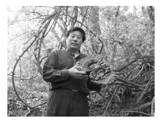 ManBetX体育
