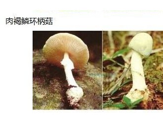 ManBetX体育