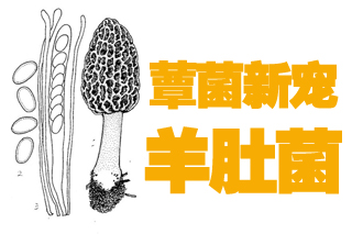 ManBetX体育