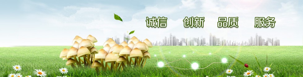 ManBetX体育