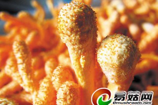 ManBetX体育