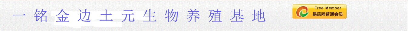 ManBetX体育