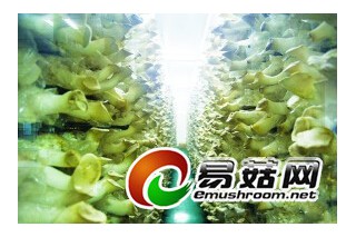 ManBetX体育