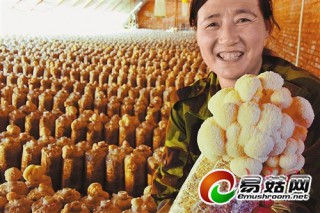 ManBetX体育