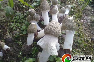ManBetX体育