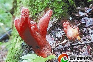 ManBetX体育