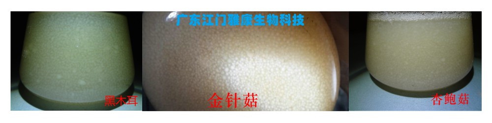 ManBetX体育