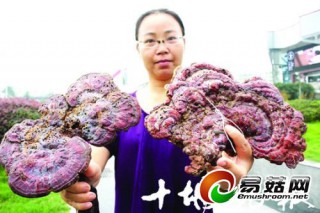 ManBetX体育