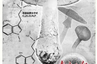 ManBetX体育