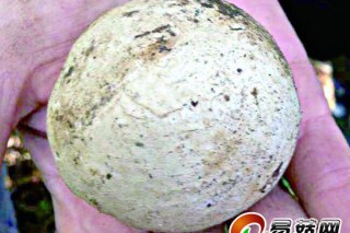 ManBetX体育