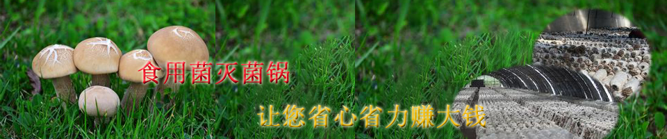 ManBetX体育
