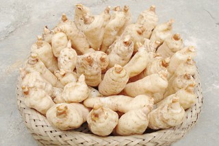 ManBetX体育