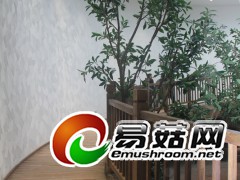 ManBetX体育