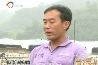 ManBetX体育