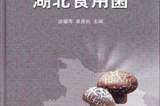 ManBetX体育