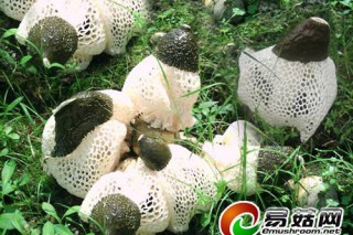 ManBetX体育