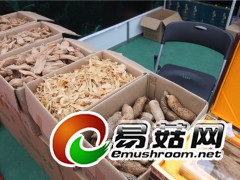 ManBetX体育