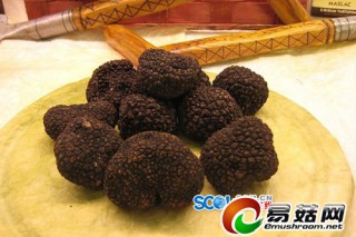 ManBetX体育