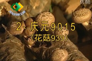 ManBetX体育